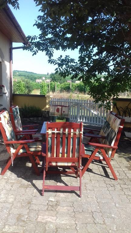Burai Vendeghaz Hotel Villany Exterior photo